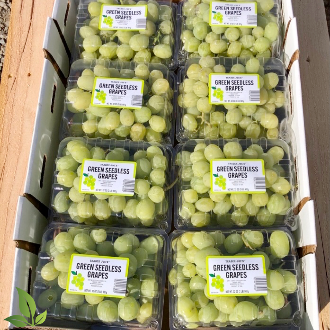 Trader Joe's Green Seedless Grapes – We'll Get The Food